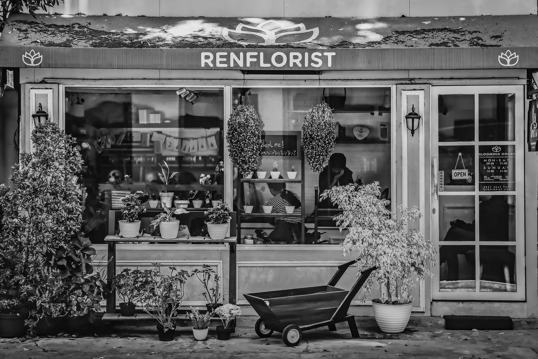 Fleuriste Saint-Étienne